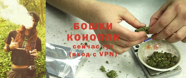 PSILOCYBIN Богородицк